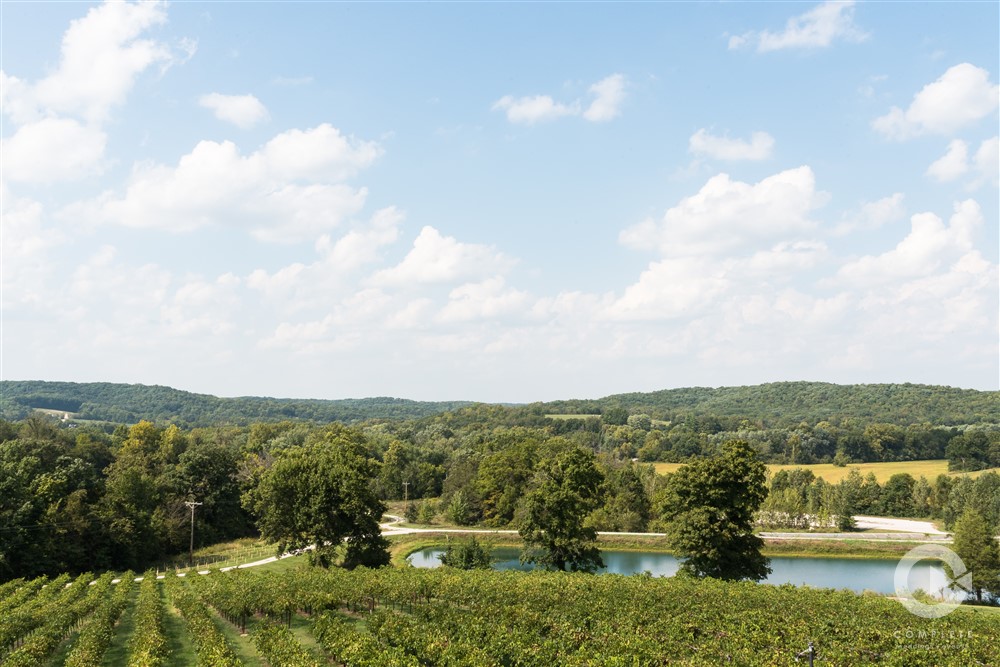 St. Louis Wedding Photography