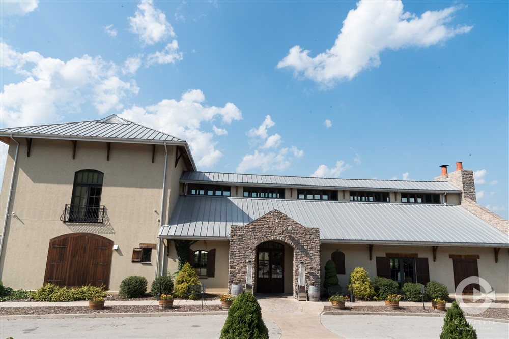 St. Louis Wedding Photography